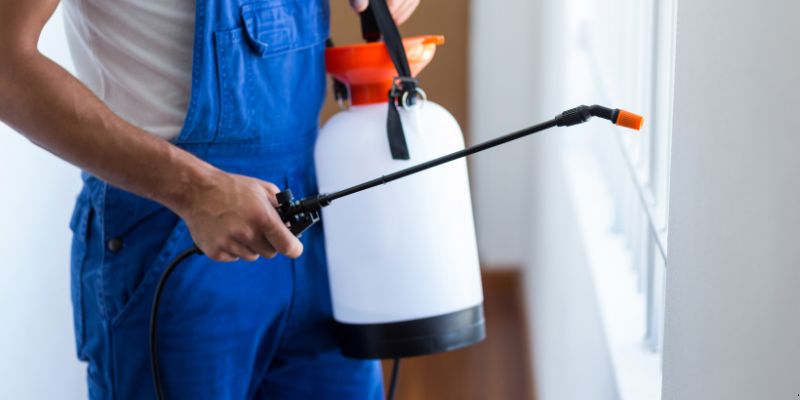 Como Fazer Dedetização em Casa em Betim: 4 Dicas Simples Como fazer dedetização em casa em Betim