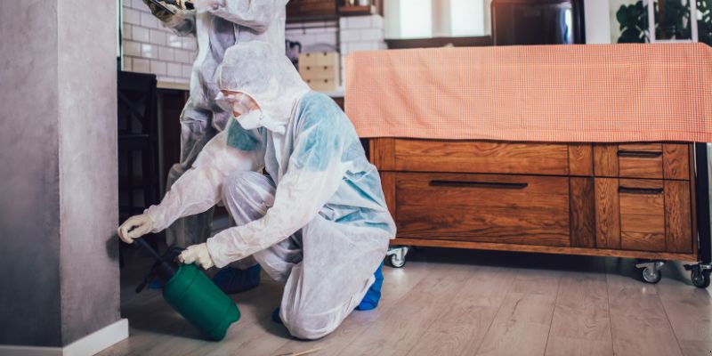 Dedetização em Apartamento Como Funciona em Betim: Confira 4 Passos Dedetização em Apartamento Como Funciona em Betim: Confira 4 Passos