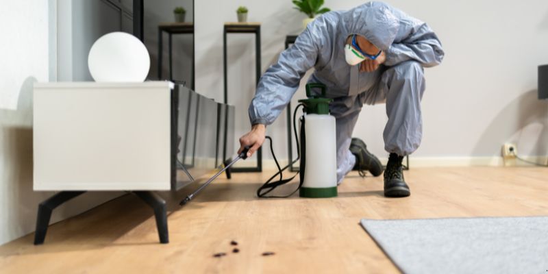 Quanto Tempo Dura Uma Dedetização em Betim? Confira! Quanto tempo dura uma dedetização em Betim?